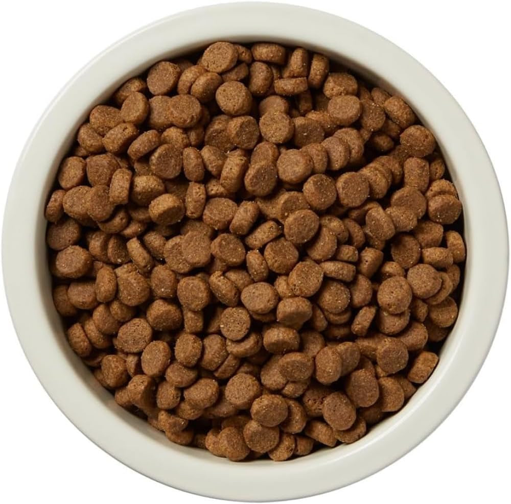 Amazon Brand –  Dry Dog Food