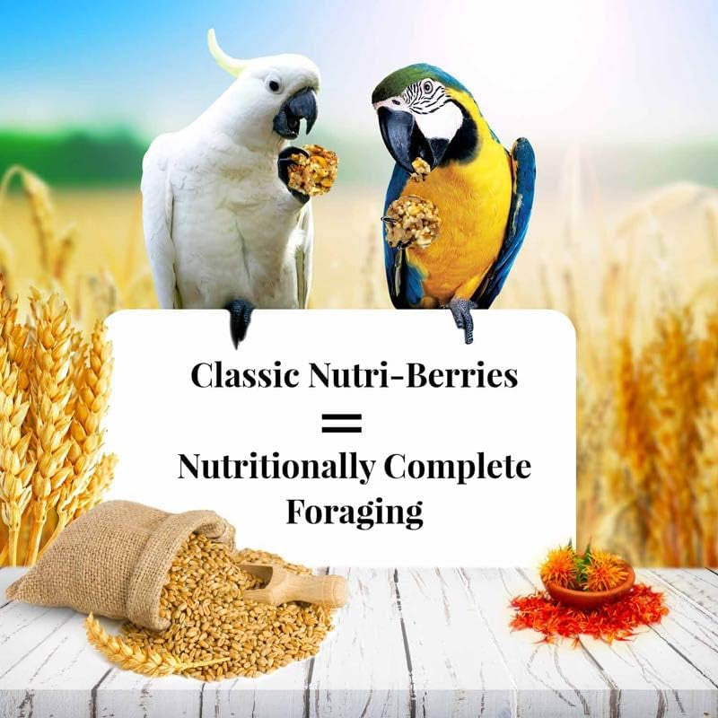 Lafeber'S Classic Nutri-Berries for Macaw / Cockatoo