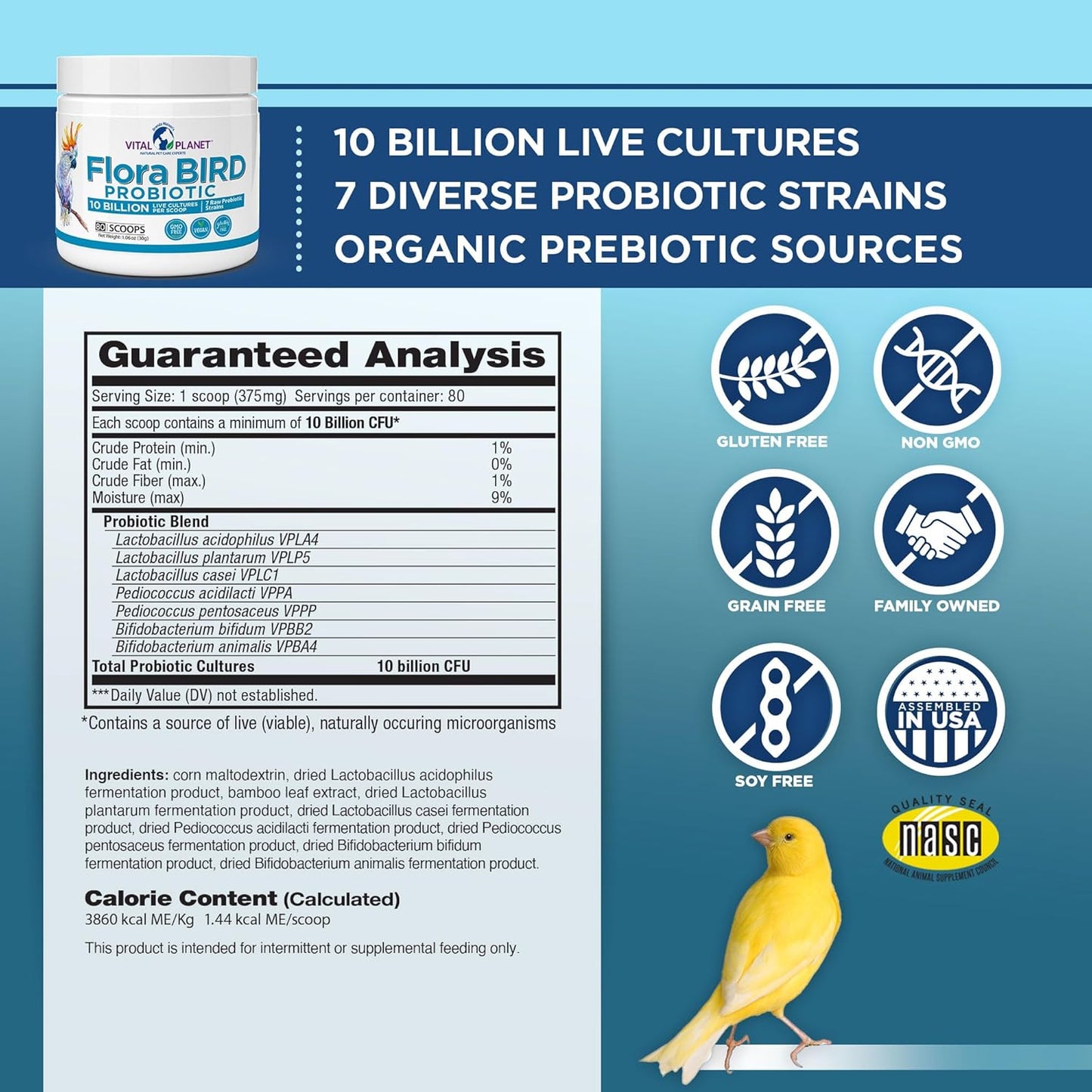 Vital Planet - Flora Bird Probiotic Powder Supplement with 10 Billion Cultures and 7 Diverse Strains, High Potency Probiotics for All Birds for Avian Digestive and Immune Support 80 Scoops