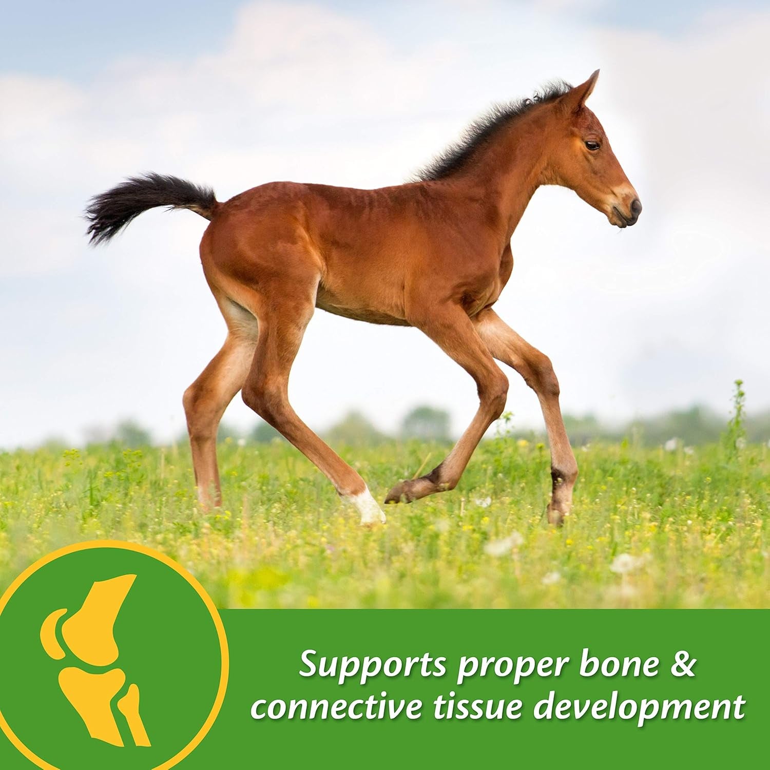 Farnam Grow Colt Supplement for Growth & Development, Supports Normal, Consistent Growth in First Years of Foal'S Life