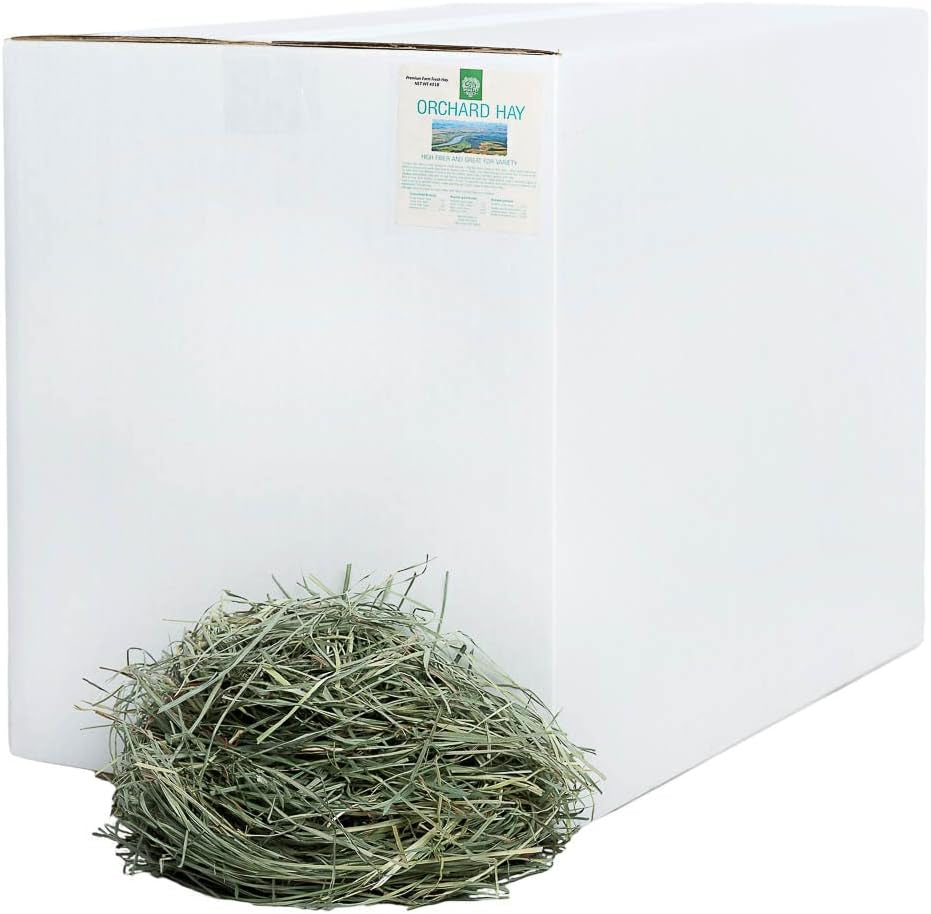 Small Pet Select Orchard Grass Hay Pet Food for Rabbits, Guinea Pigs, Chinchillas and Other Small Animals, Premium Natural Hay Grown in the US