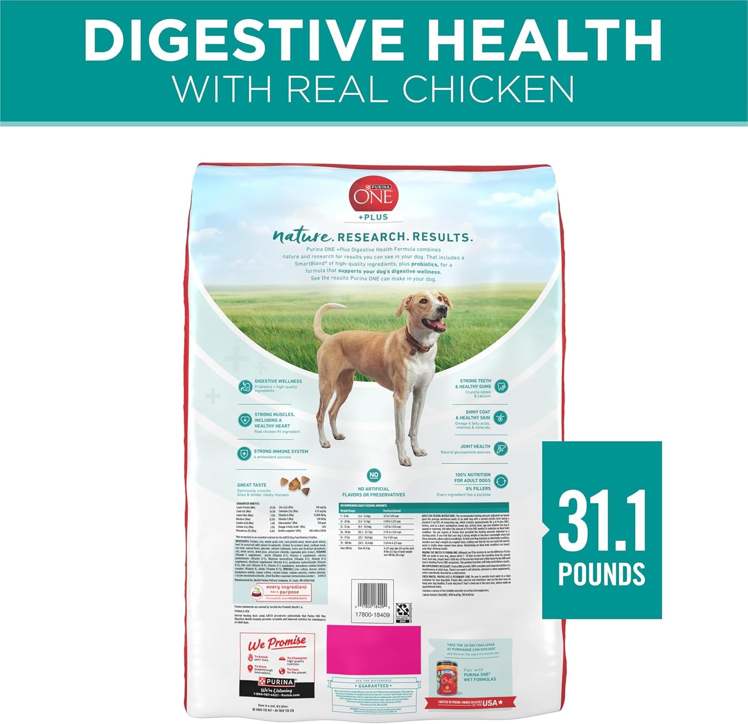 Purina One plus Digestive Health Formula Dry Dog Food Natural with Added Vitamins, Minerals and Nutrients - 31.1 Lb. Bag