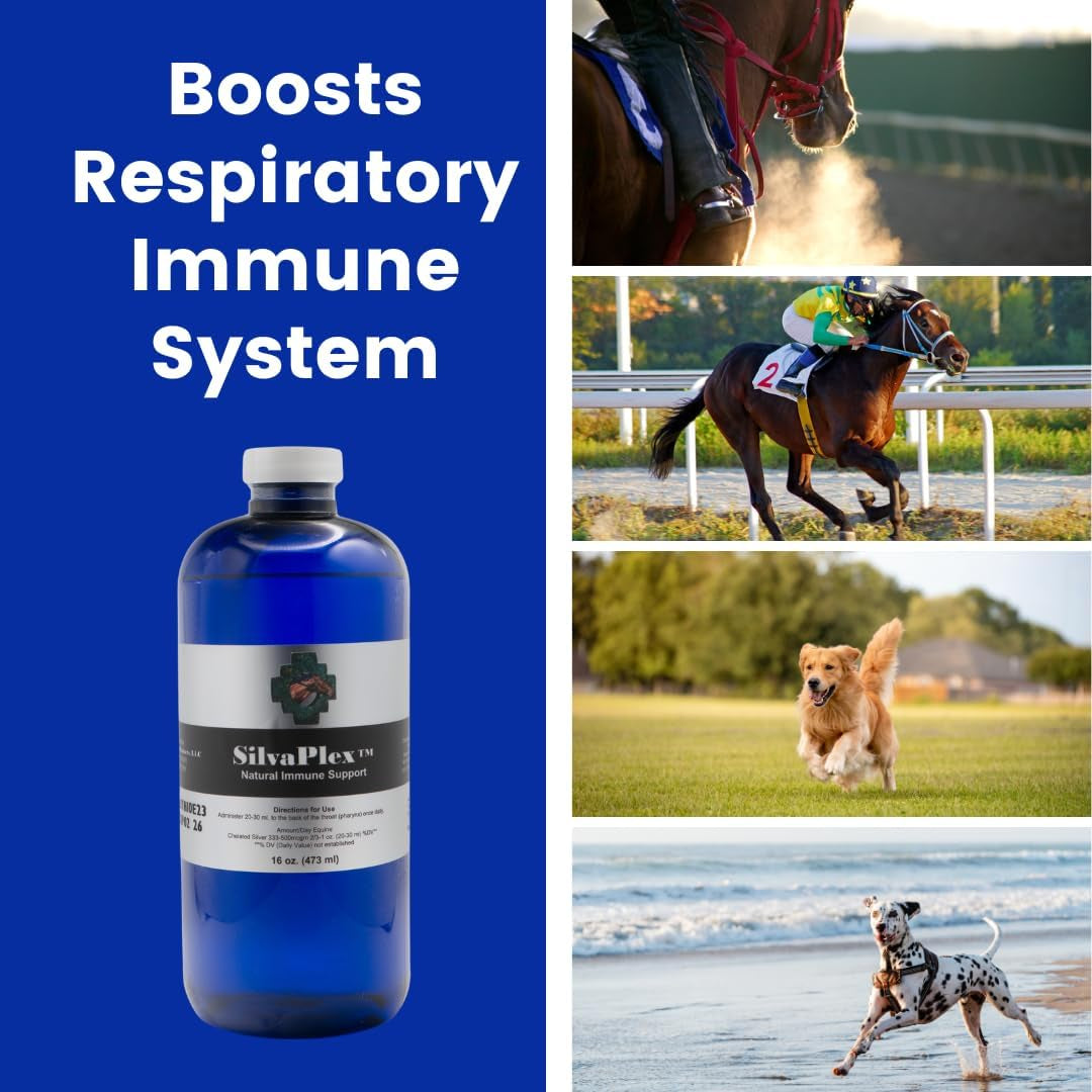 Natural Immune Support Solution for Dogs, Cats, Horses, Small Animals, 100 PPM Chelated Silver