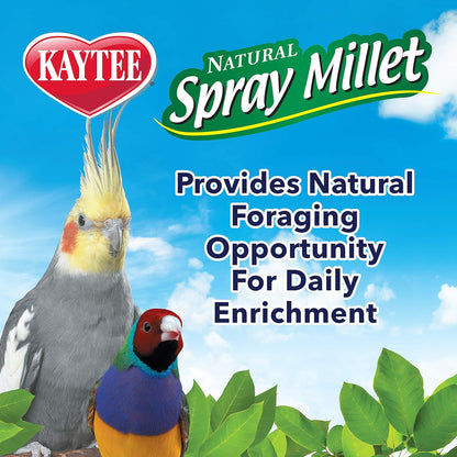 Spray Millet Treat for Pet Birds, 7 Ounce