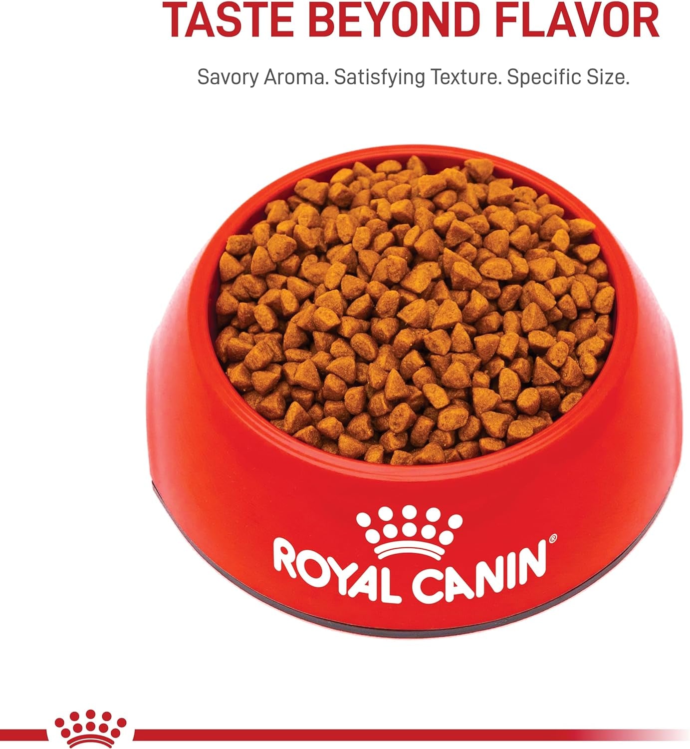 Royal Canin Size Health Nutrition X-Small Breed Dry Puppy Food, Supports Brain Development, Immune Support and Digestive Health