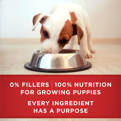 Purina ONE plus Wet Puppy Food Classic Ground Healthy Puppy Lamb and Long Grain Rice Entree