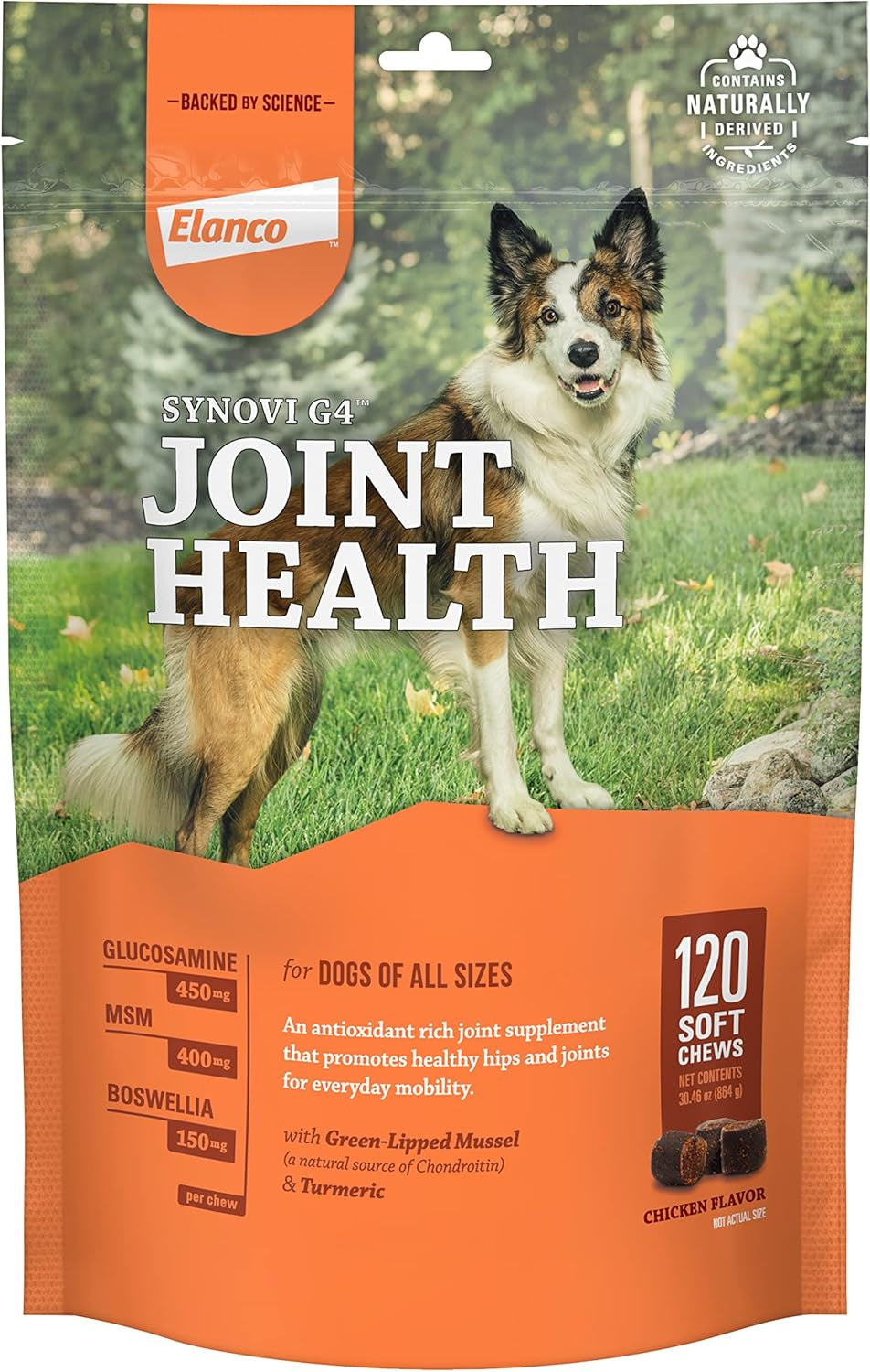 Synovi G4 Dog Joint Supplement Chews, for Dogs of All Ages, Sizes and Breeds