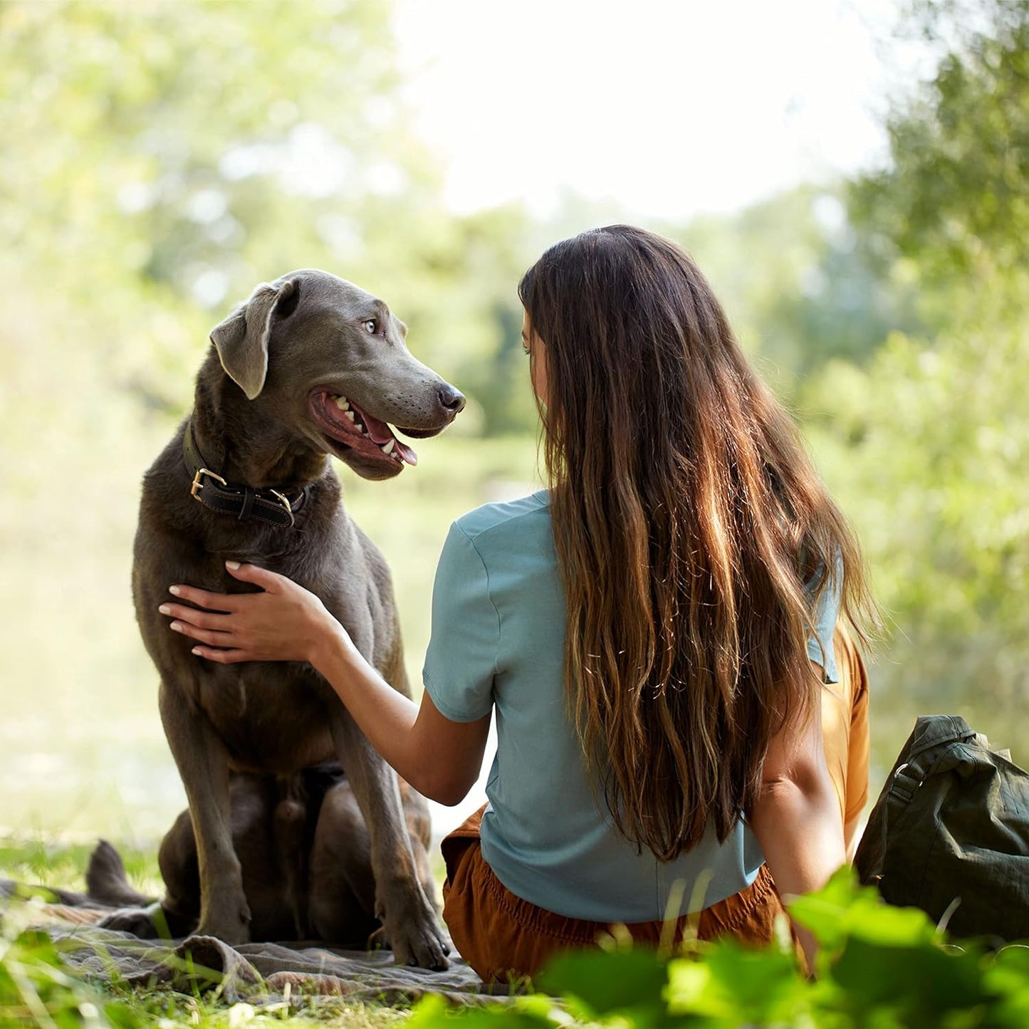 Nature’S Recipe Mature Lamb & Brown Rice Recipe Dry Dog Food