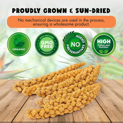 Gmo-Free Sun-Dried Spray Millet - Natural Bird Treat for Parakeets, Cockatiels, Finches, and More - Non-Gmo, Rich in Amino Acids, Convenient Storage, Delicious & Healthy Bird Snacks