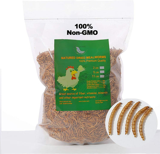 100% Natural Non-Gmo High Protein, Large Size No Moisture, Perfect for Chickens Birds Hedgehog Hamster Fish Reptile Turtles