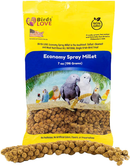 Birds LOVE Economy & Thin Special Spray Millet - Gmo-Free (No Stems Only Edible Tops) for Birds Cockatiel, Lovebird, Parakeet, Finch, Canary All Parrots Healthy Treat