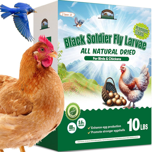 Dried Black Soldier Fly Larvae for Chickens - Non-Gmo Insect Larvae Treats More Calcium than Mealworms, High Protein Chicken Feed for Backyard Poultry - BSFL, Bird Food, Chicken Worms