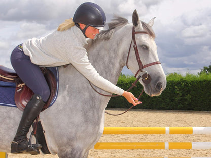 Horse Treats for Training and Bonding - Made with All-Natural Flavors, Horse Treats Low Sugar Delights of Pure Flavor and Health, Suitable for Horses with Cushing'S