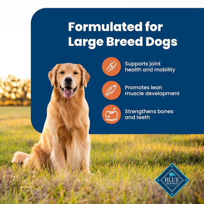 Blue Buffalo Life Protection Formula Large Breed Adult Dry Dog Food, Promotes Joint Health and Lean Muscles, Made with Natural Ingredients