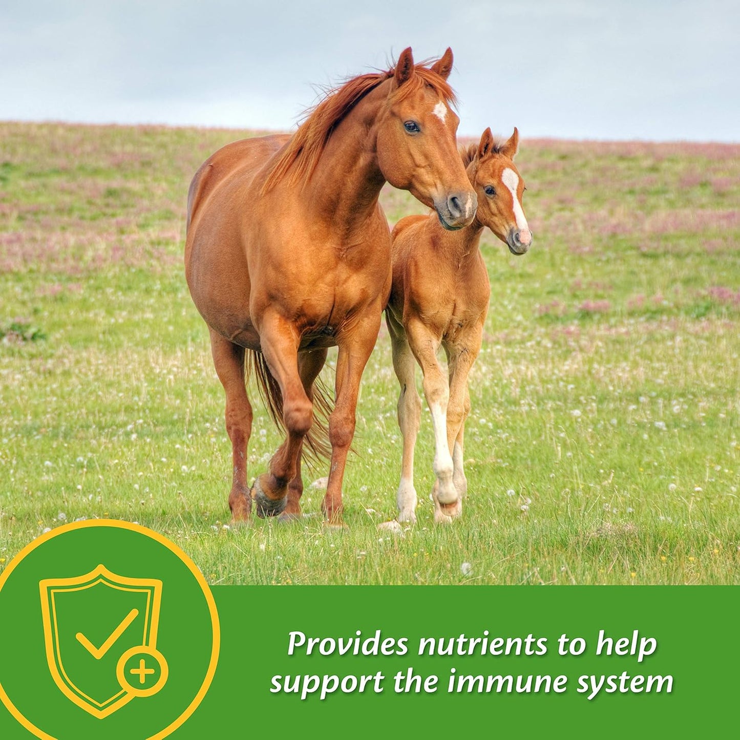 Farnam Grow Colt Supplement for Growth & Development, Supports Normal, Consistent Growth in First Years of Foal'S Life