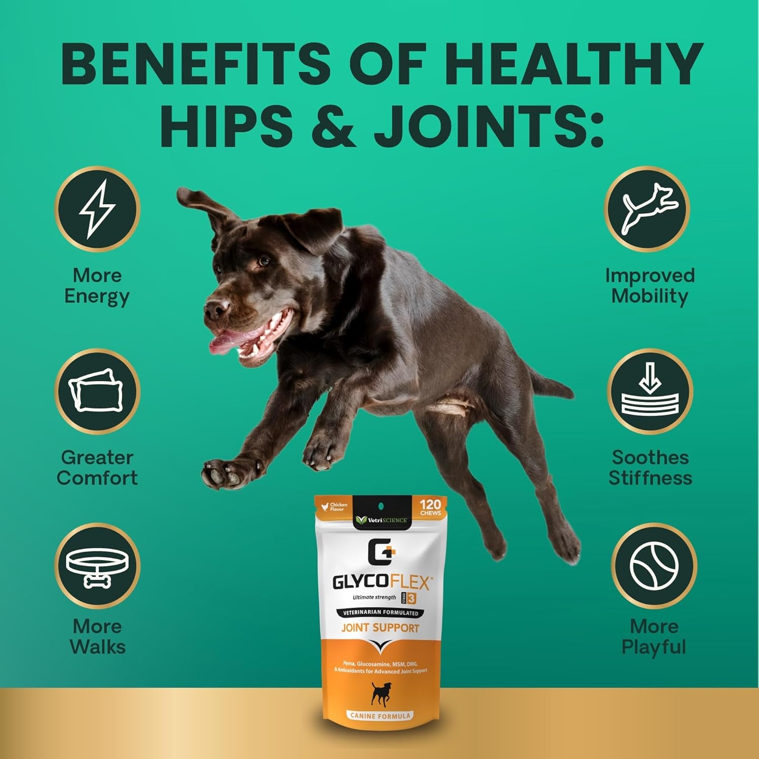 Vetriscience Glycoflex 3 Hip and Joint Supplement for Dogs - Maximum Strength Dog Supplement with Glucosamine, MSM, Green Lipped Mussel & DMG, Chicken Flavor