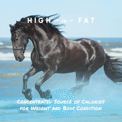 Manna Pro Cool Calories 100, Equine Dry Fat Supplement for Healthy Weight Gain