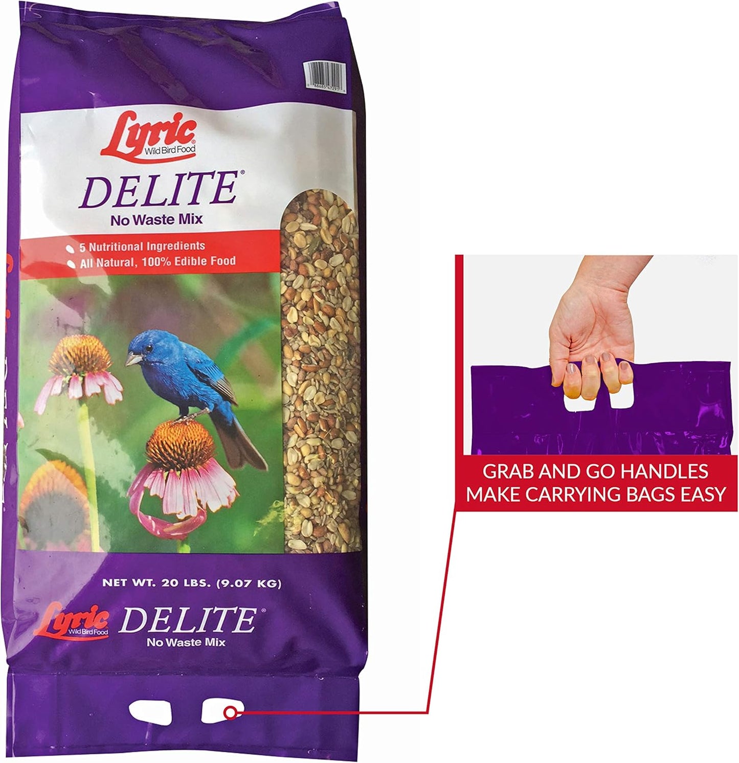 Lyric Delite Wild Bird Seed - No Waste Bird Food Mix with Shell-Free Nuts & Seeds - Attracts Buntings, Chickadees & Finches