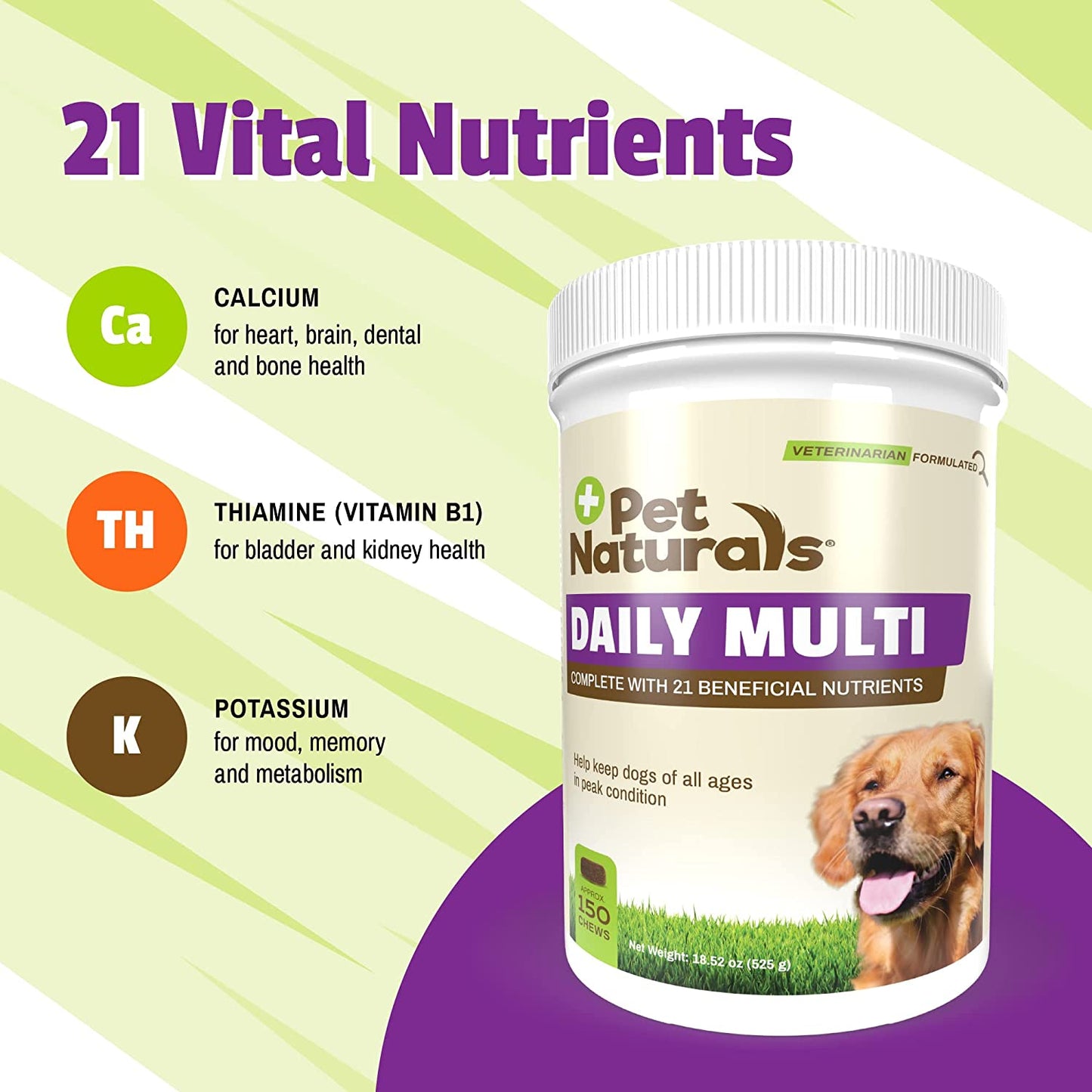 Pet Naturals Daily Multivitamin for Dogs, Veggie Flavor, 150 Chews - Yummy Chews with Amino Acids, and Antioxidants - Supports Energy, Metabolic Function and Pet Wellness