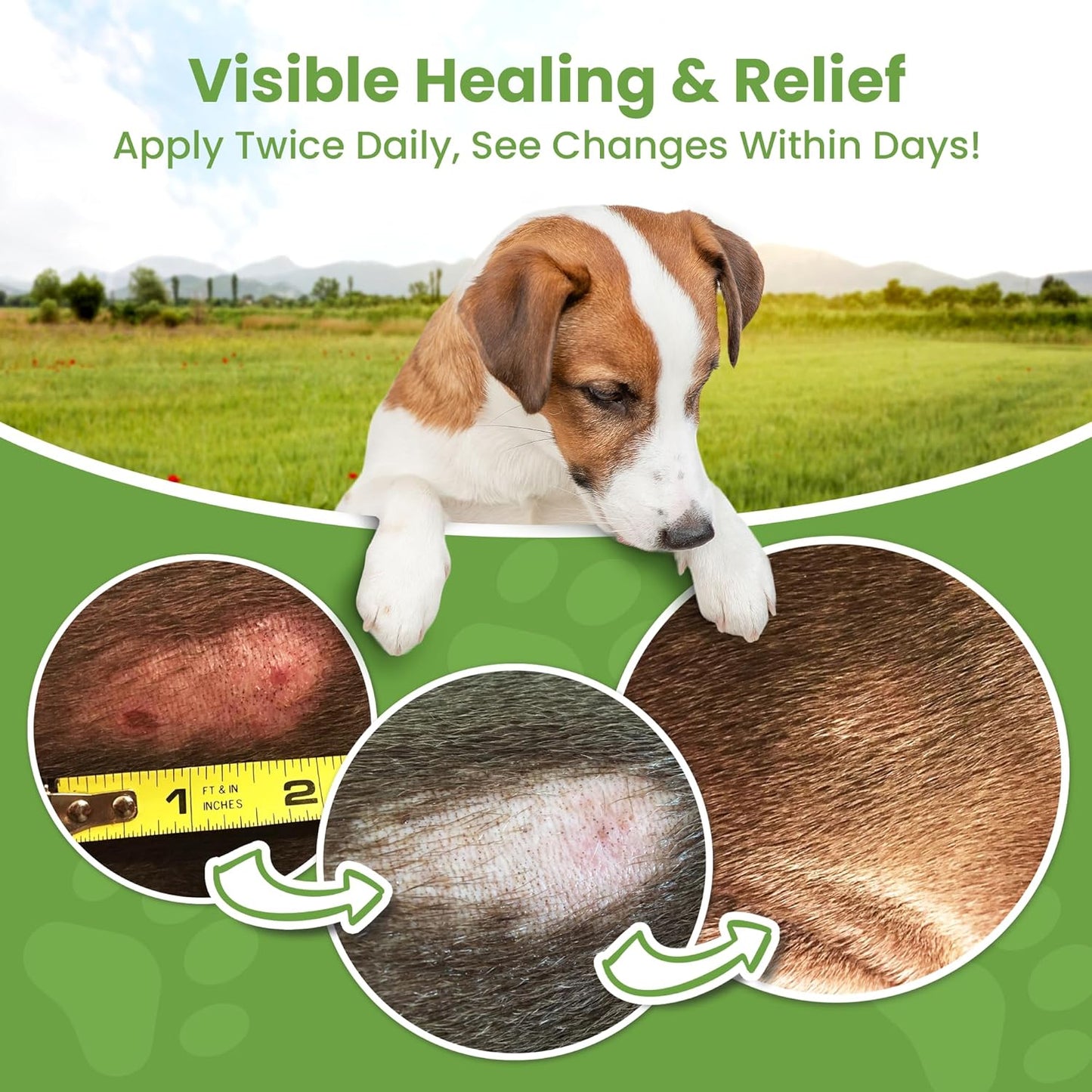 Hot Spot Treatment for Dogs, Cats & Pet Wound Care: Healing Ointment for Pets Itchy Skin Relief, Dry Skin Treatment, Natural Allergy Relief, Dog Paw Balm + Manuka Honey, Aloe Vera, Vitamin E