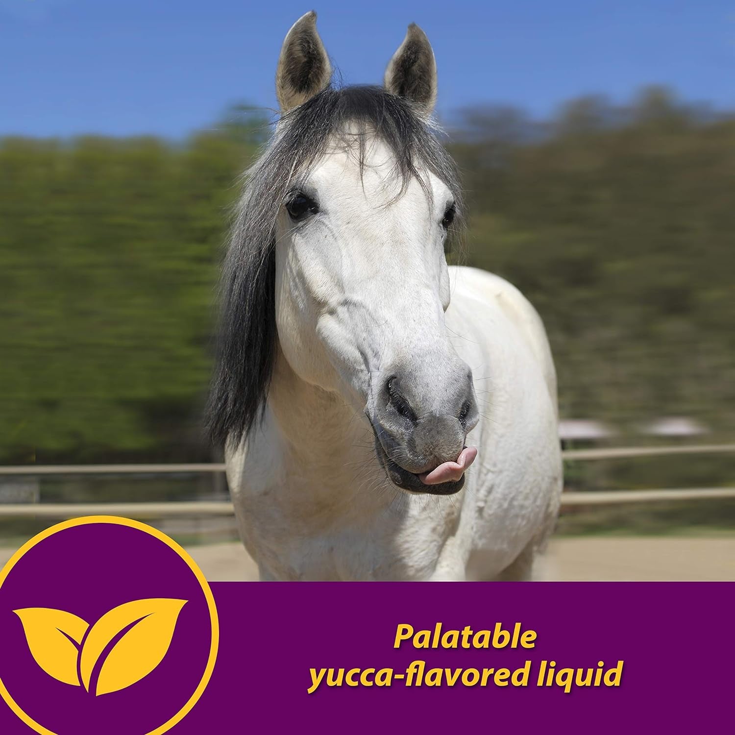 Farnam Horse Health Red Cell, Liquid Vitamin-Iron-Mineral Supplement for Horses, Helps Fill Important Nutritional Gaps in Horse'S Diet