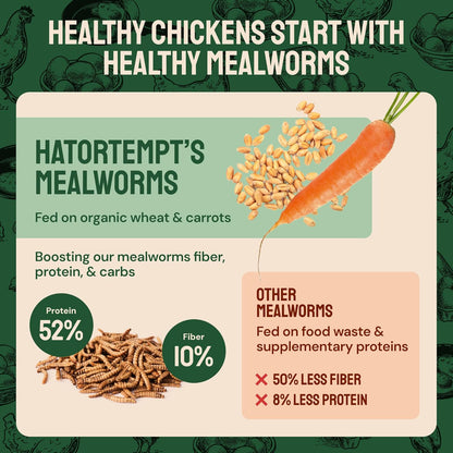 Dried Mealworms - Premium Organic Non-Gmo Dried Mealworms for Chickens - High Protein Chicken Feed Meal Worms for Wild Birds & Chicken Treats for Laying Hens