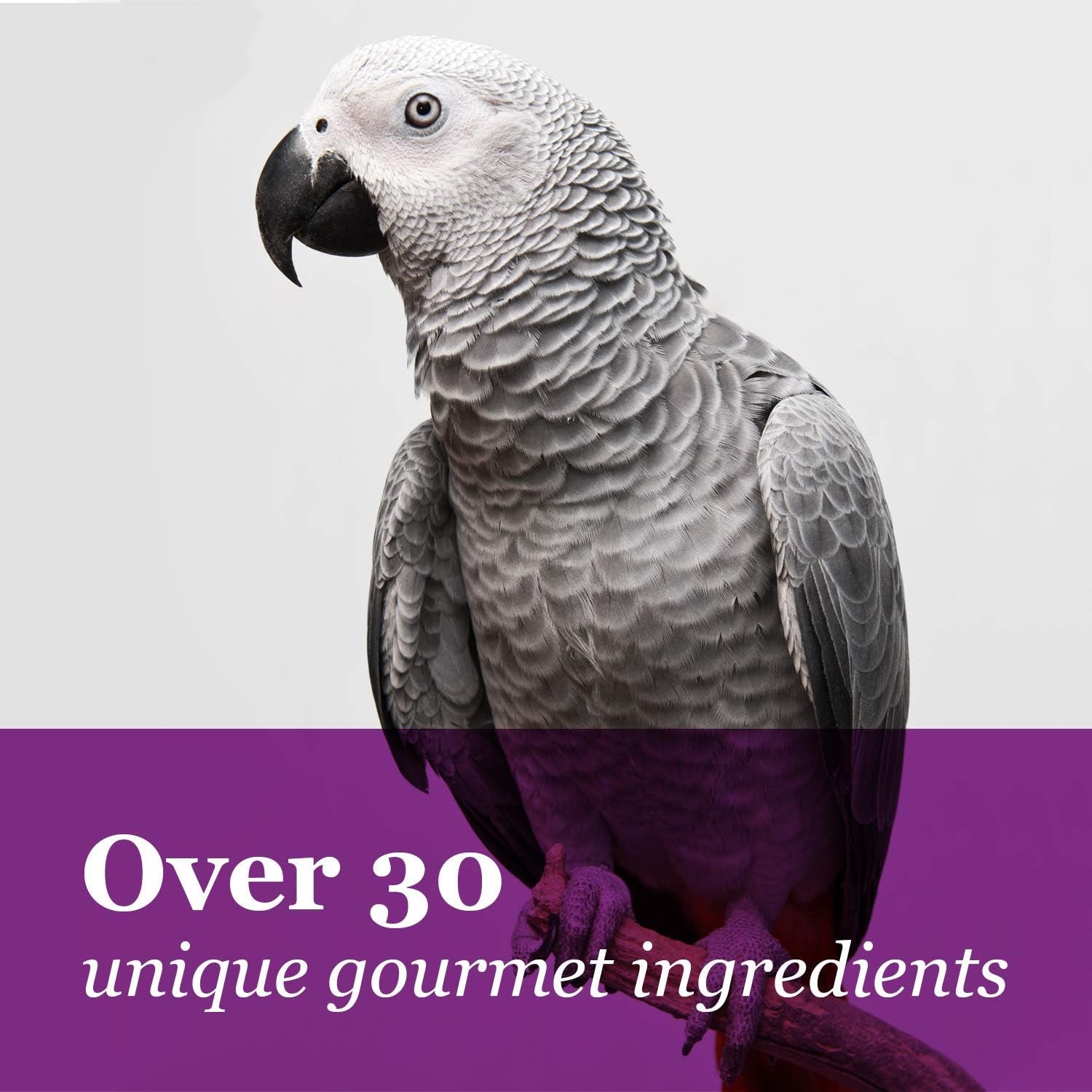 F.M. Brown'S Tropical Carnival, Gourmet Macaw Food Big Bites for Big Beaks, Vitamin-Nutrient Fortified Daily Diet with Probiotics for Digestive Health