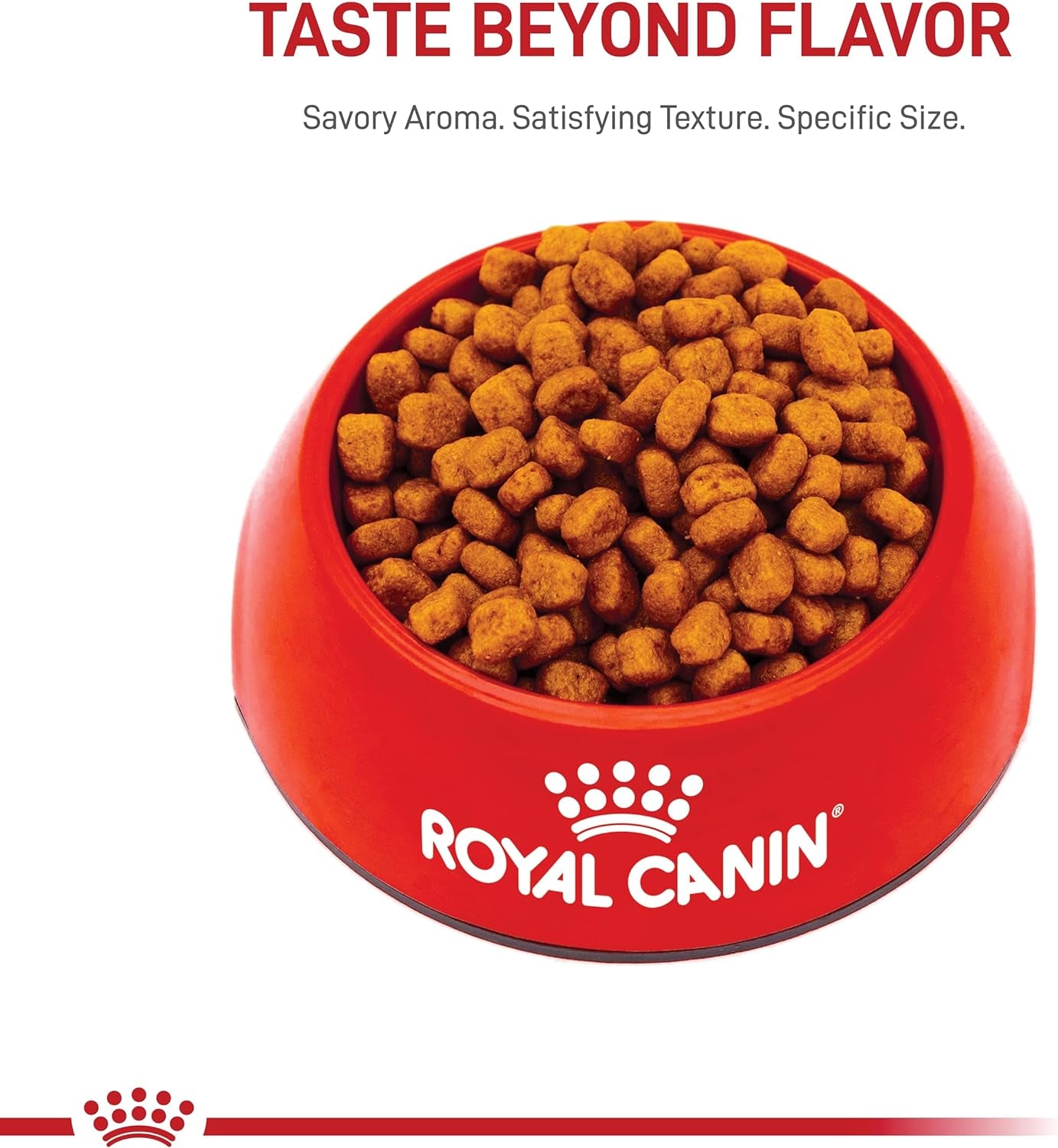 Yorkshire Terrier Adult Dry Dog Food