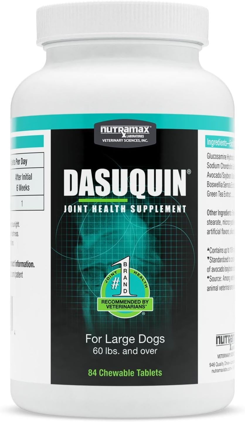 Nutramax Laboratories Dasuquin with MSM Joint Health Supplement for Large Dogs - with Glucosamine, MSM, Chondroitin, ASU, Boswellia Serrata Extract, and Green Tea Extract