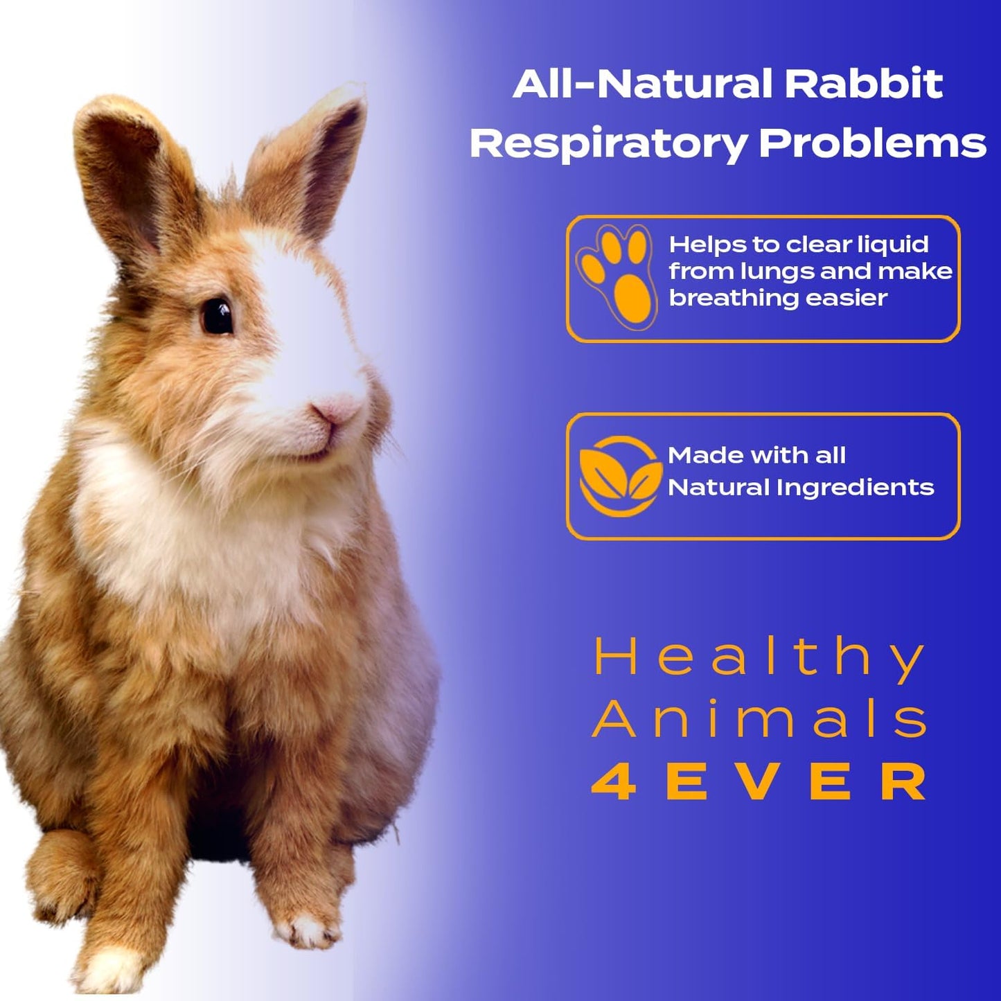 Healthyanimals4Ever All-Natural Rabbit Respiratory Treatment, Effective Homeopathic Support for Respiratory Health, Preventive Care for Snuffles & URI Rabbit Breathing Relief Tablets, 300 Count