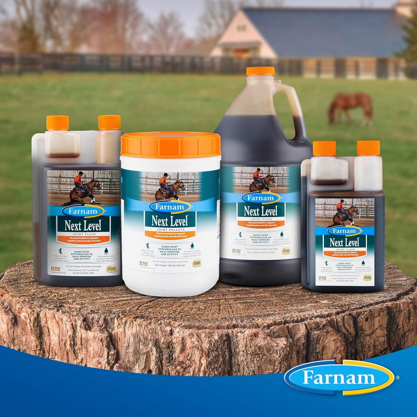 Farnam Next Level Joint Fluid Supplement for Horses and Dogs, Helps Maintain Connective Tissue to Ease Joint Stiffness Due to Daily Activity