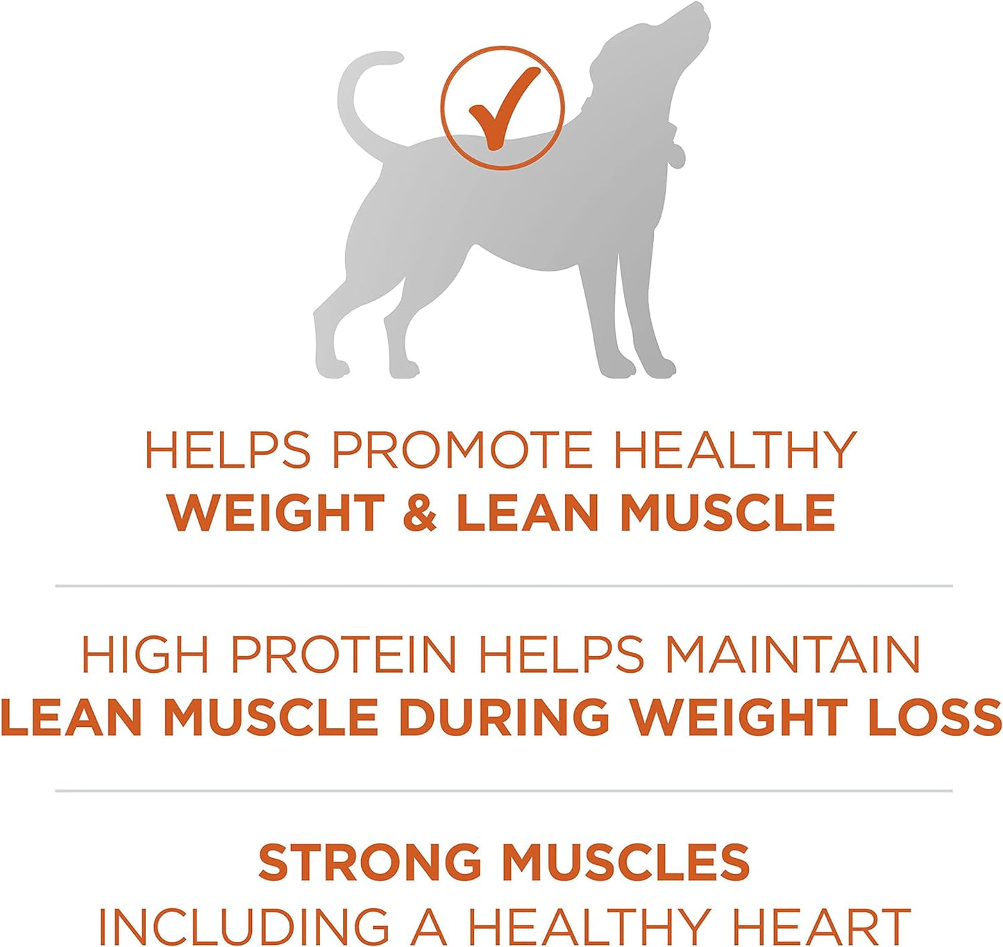 Purina ONE plus Healthy Weight High-Protein Dog Food Dry Formula