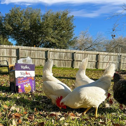 Dried Mealworms - Premium Chicken Treats, High Protein Mealworms for Chickens, Ducks, Laying Hens - Improves Egg Quality, Boosts Immune System & Feathers