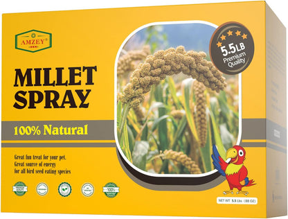 Amzey Spray Millet for Parakeets, 100% Natural Dried Millet Grain for Birds, Non-Gmo Millet Spray Bird Treat, Birds Millet, Cockatiel, Finches, Parrots & Lovebirds