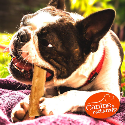 Canine Naturals Chicken Recipe Chew - Rawhide Free Dog Treats - Made from USA Raised Chicken - All-Natural and Easily Digestible