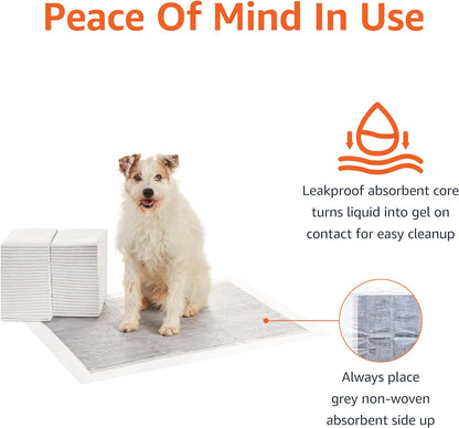 Amazon Basics Dog and Puppy Pee Pads with 5-Layer Leak-Proof Design and Quick-Dry Surface for Potty Training, Odor-Control Carbon