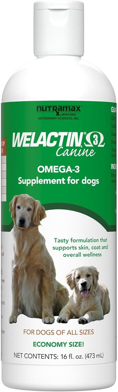 Nutramax Welactin Omega-3 Fish Oil Skin and Coat Health Supplement Liquid for Dogs - 16 Ounce