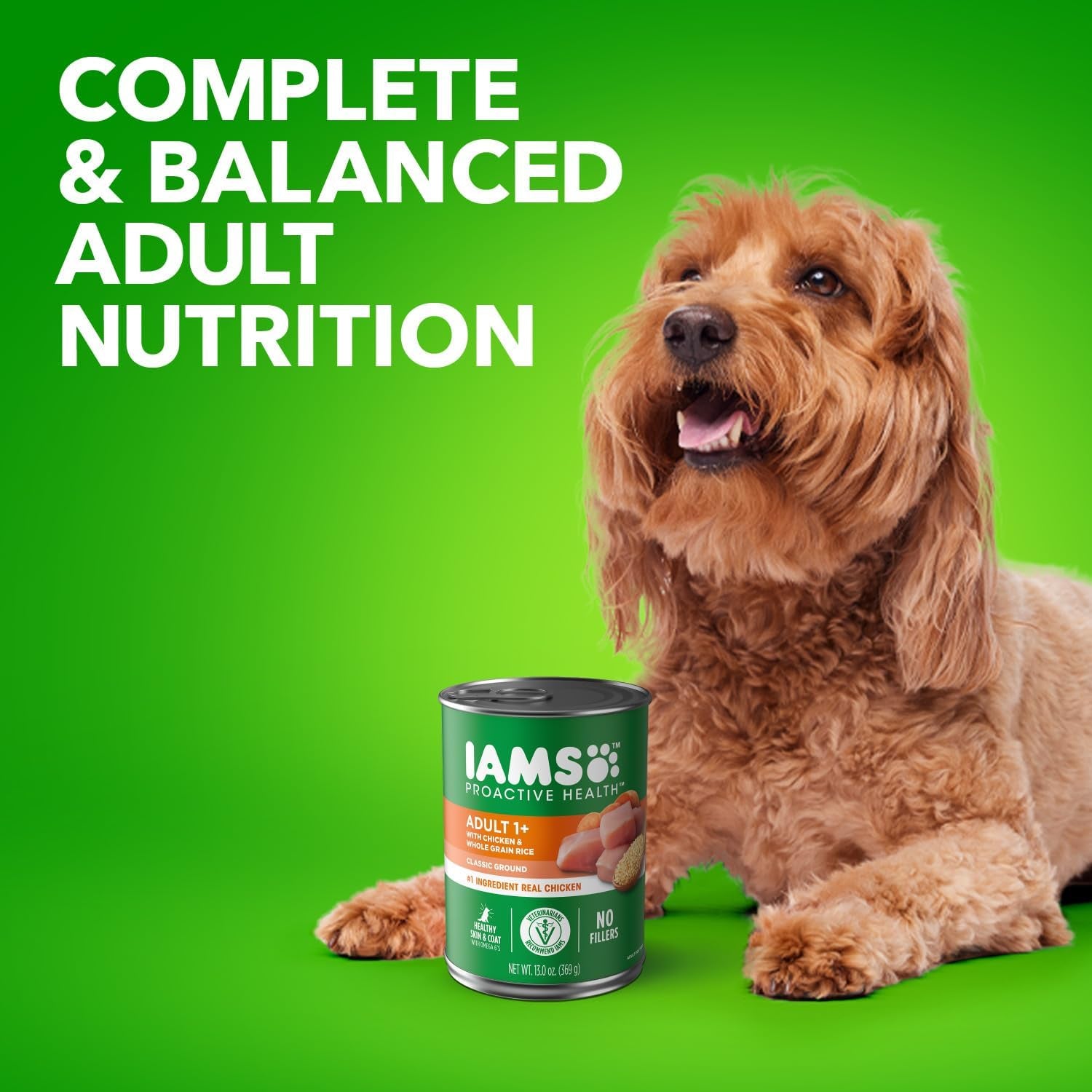 IAMS Proactive Health Adult Wet Dog Food Classic Ground with Chicken and Rice