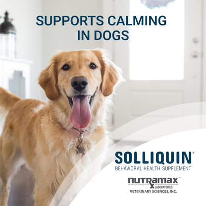 Nutramax Solliquin Calming Behavioral Health Supplement for Large Dogs - with L-Theanine, Magnolia/Phellodendron, and Whey Protein Concentrate, 75 Soft Chews