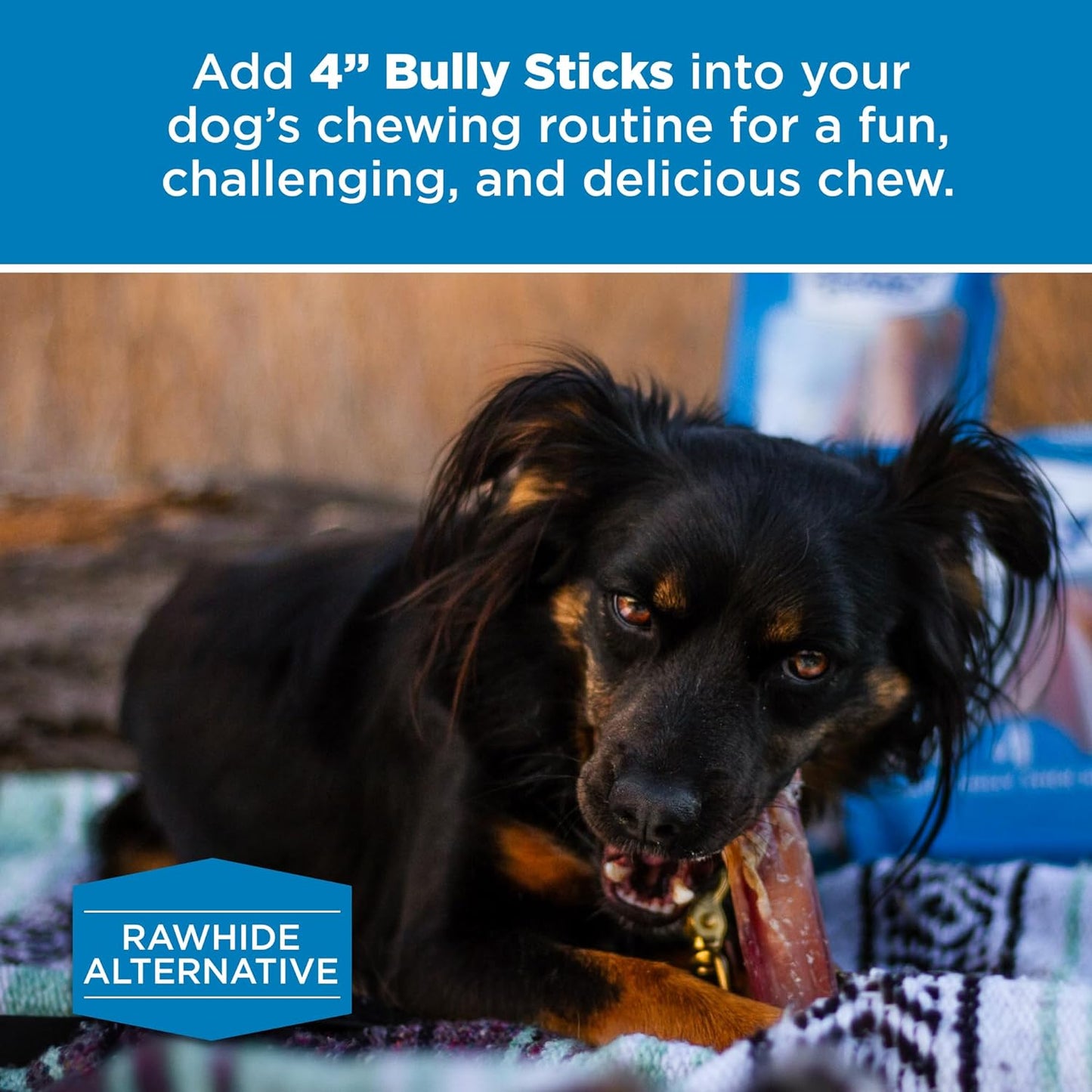 Best Bully Sticks Bully Sticks for Dogs - 100% Natural, Grass-Fed Beef, Dog Bully Sticks for Small Dogs and Puppies - Grain and Rawhide Free Bully Stick Dog Chews