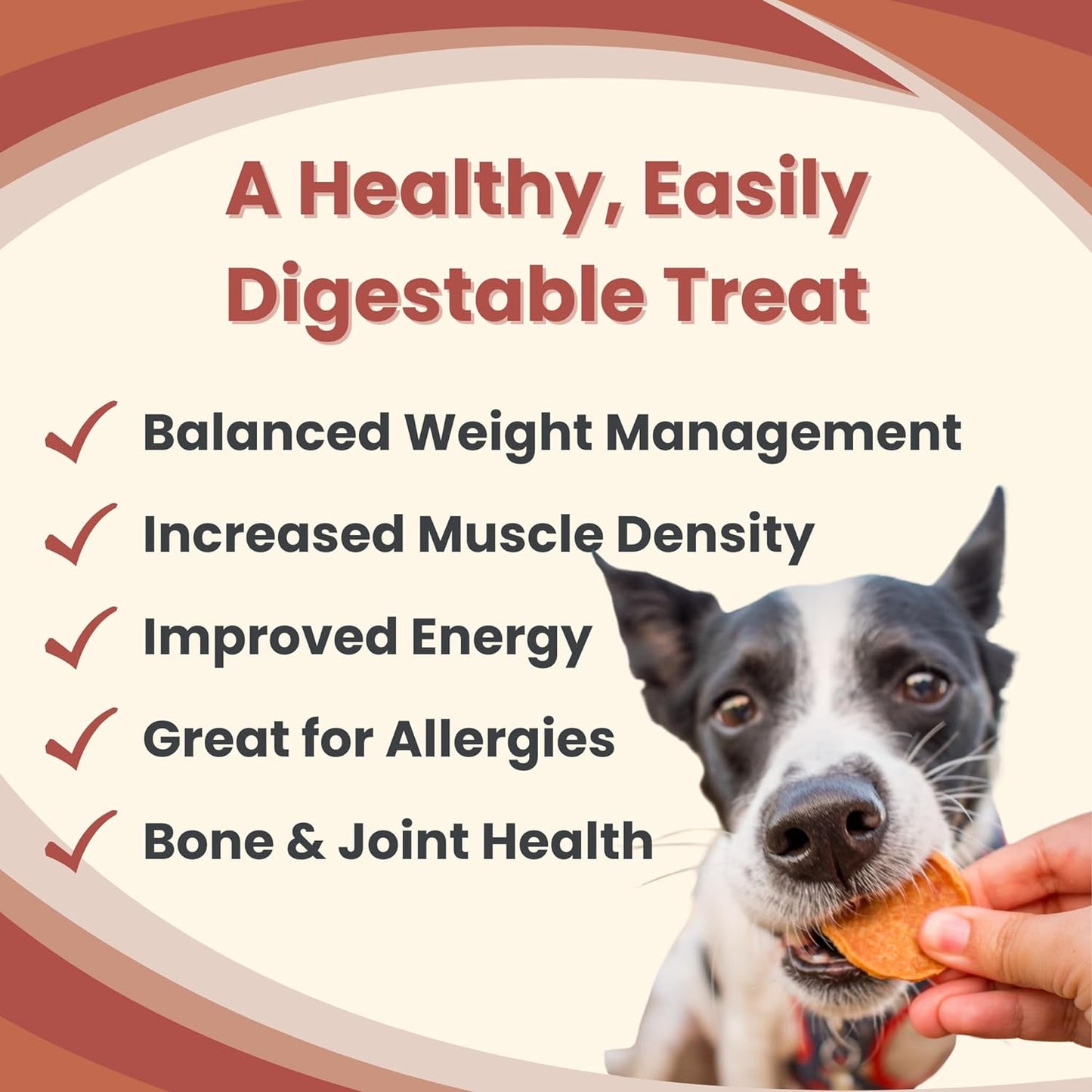 Dog Training Treats - Chicken Chips, Single Ingredient, Lean, All Natural, Healthy Dog Treats for Small, Medium, Large Dog Breeds, & Puppies, Made in USA