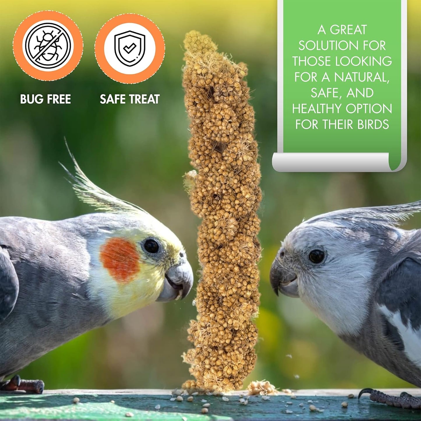 Gmo-Free Sun-Dried Spray Millet - Natural Bird Treat for Parakeets, Cockatiels, Finches, and More - Non-Gmo, Rich in Amino Acids, Convenient Storage, Delicious & Healthy Bird Snacks