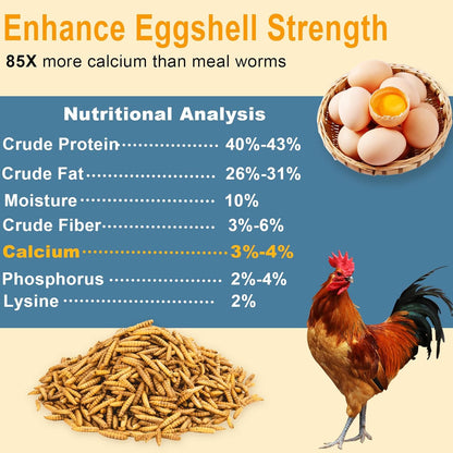 Dried Black Soldier Fly Larvae for Chickens - High Protein Chicken Food 100% Natural - BSF Larvae More Calcium than Dried Mealworms, Chicken Treats for Laying Hens Ducks Birds