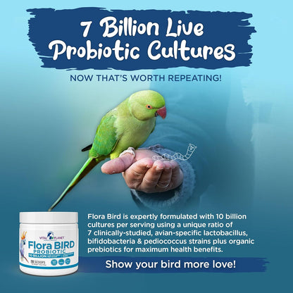 Vital Planet - Flora Bird Probiotic Powder Supplement with 10 Billion Cultures and 7 Diverse Strains, High Potency Probiotics for All Birds for Avian Digestive and Immune Support 80 Scoops