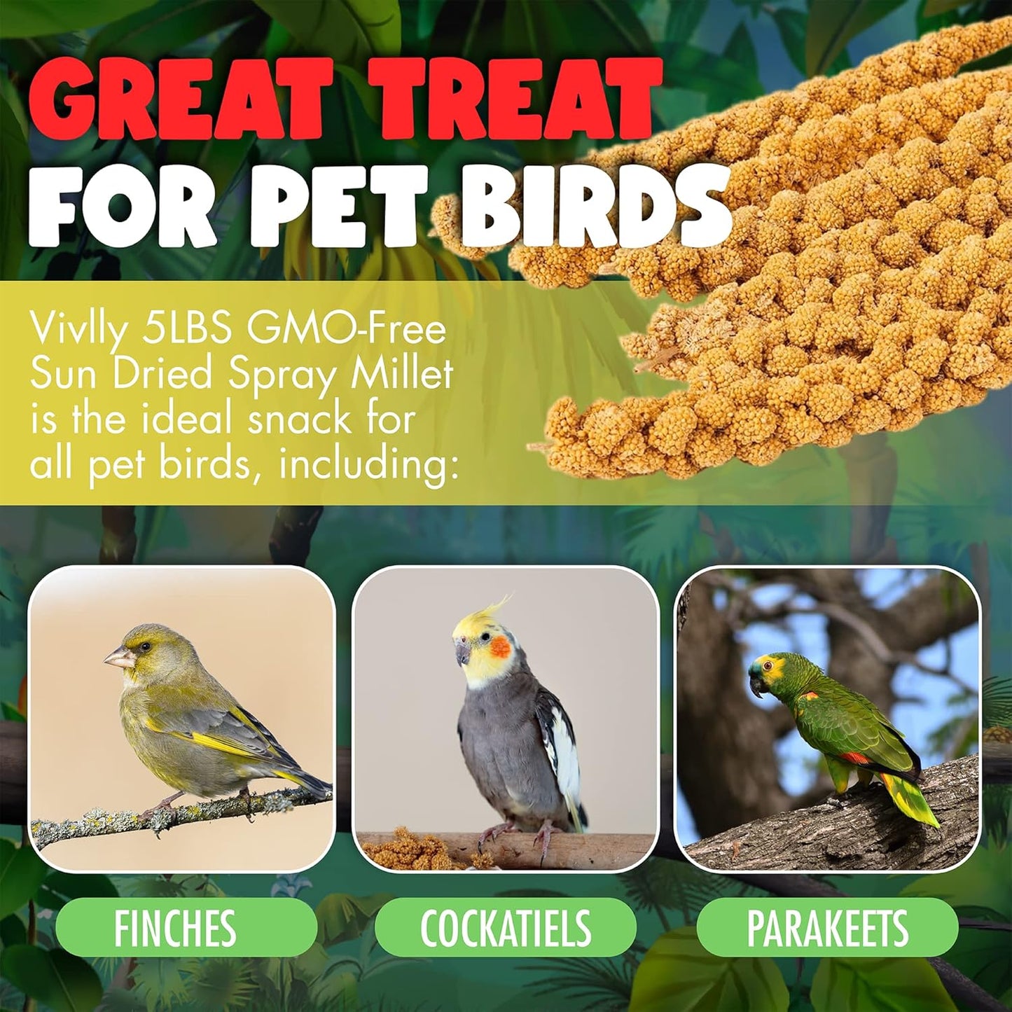 Gmo-Free Sun-Dried Spray Millet - Natural Bird Treat for Parakeets, Cockatiels, Finches, and More - Non-Gmo, Rich in Amino Acids, Convenient Storage, Delicious & Healthy Bird Snacks