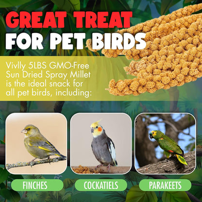 Gmo-Free Sun-Dried Spray Millet - Natural Bird Treat for Parakeets, Cockatiels, Finches, and More - Non-Gmo, Rich in Amino Acids, Convenient Storage, Delicious & Healthy Bird Snacks