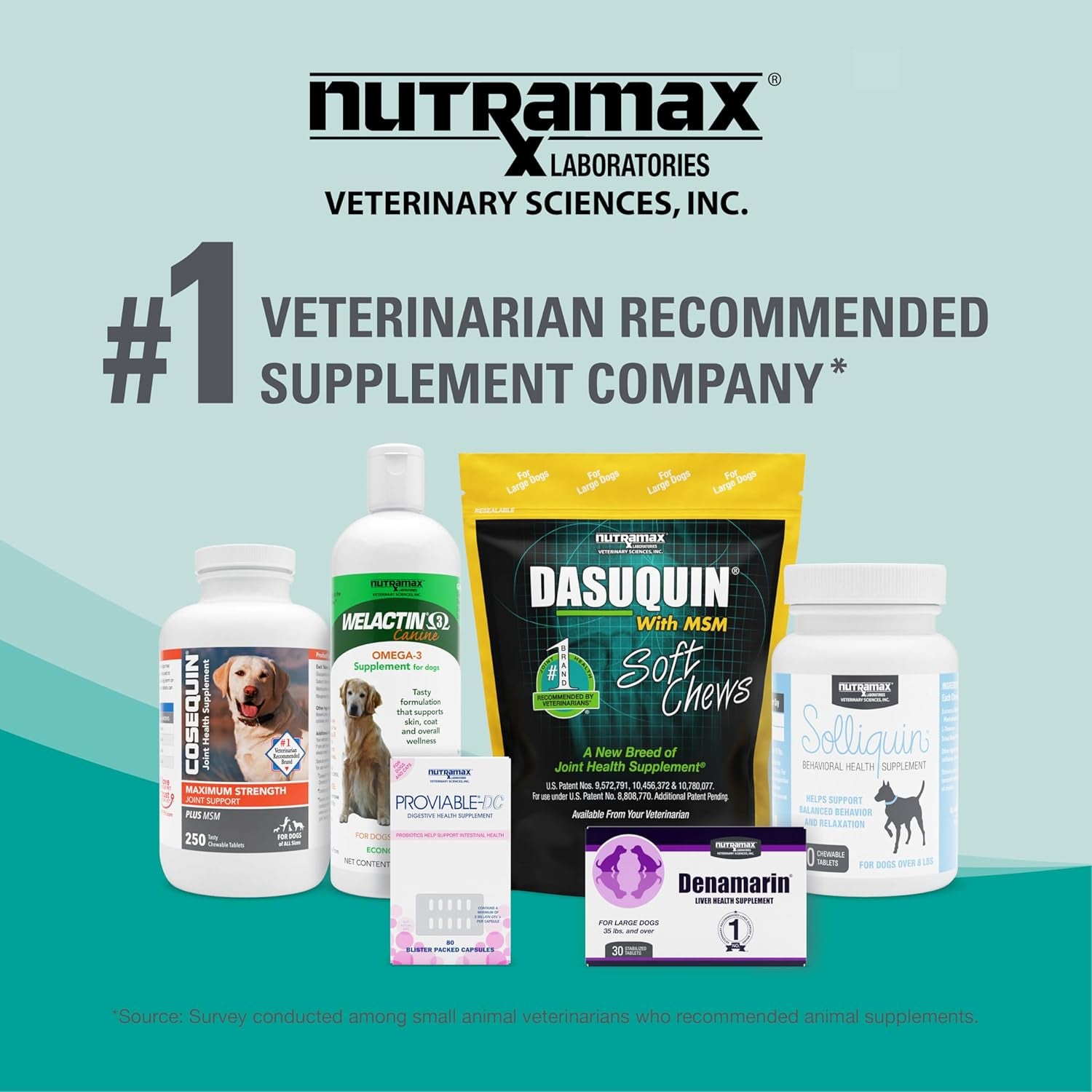 Nutramax Dasuquin Joint Health Supplement for Large Dogs - with Glucosamine, Chondroitin, ASU, Boswellia Serrata Extract, Green Tea Extract, 150 Chewable Tablets