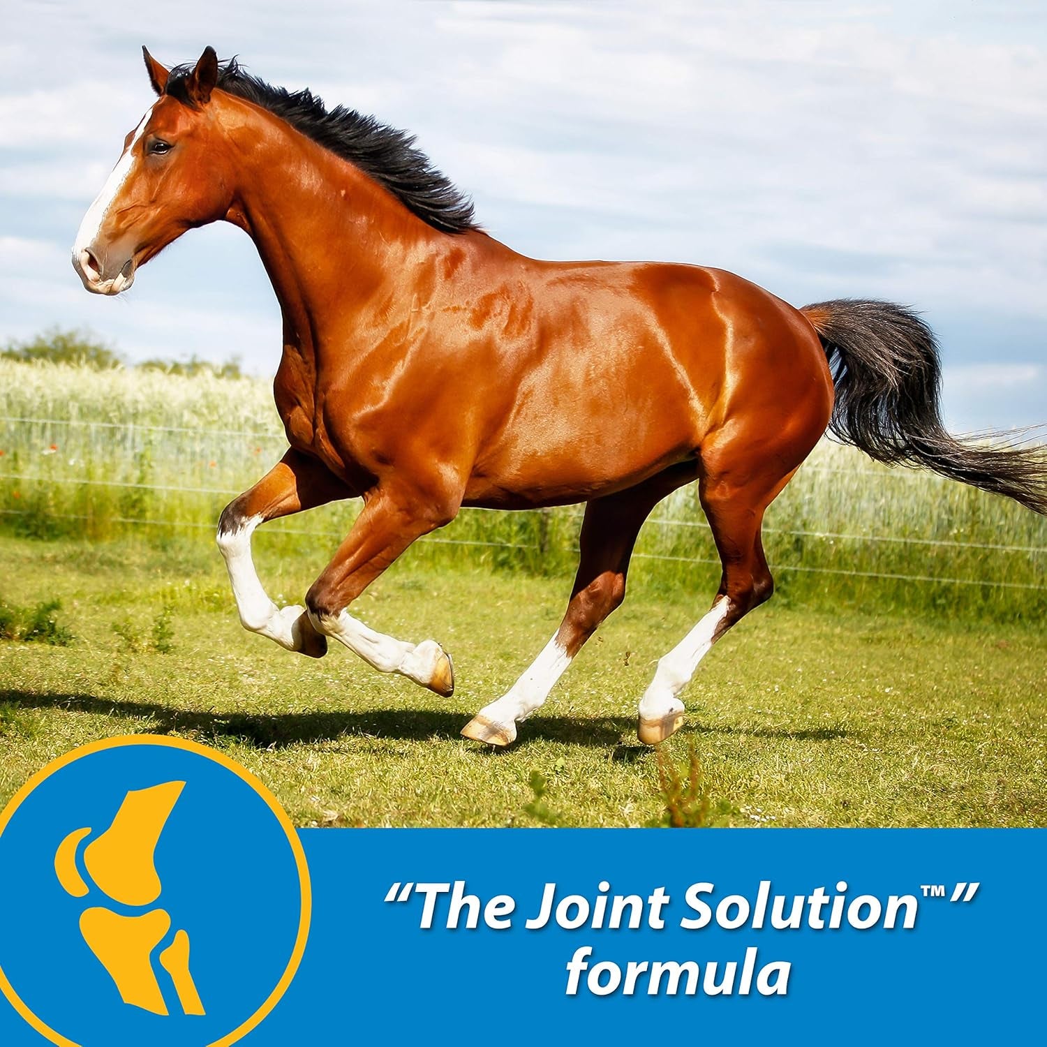 Farnam Fluidflex Liquid Joint Supplement for Horses, Helps Maintain Healthy Hip & Joint Function