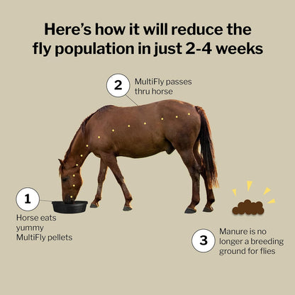 Multifly Feed-Thru Fly Control Pellets for Horses - Palatable & Safe Fly Population Reduction (10 Lb Bag - 182 Servings)