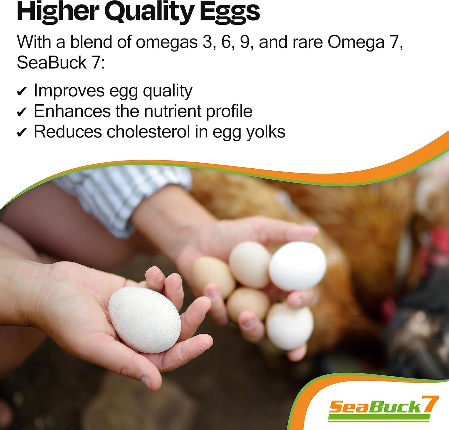 Seabuck 7 Chicken & Bird Supplement with Sea Buckthorn to Improve Egg Quality (1-Month Supply for 20 Chickens) - Earlier Laying, Egg Production Booster & Higher Quality Eggs